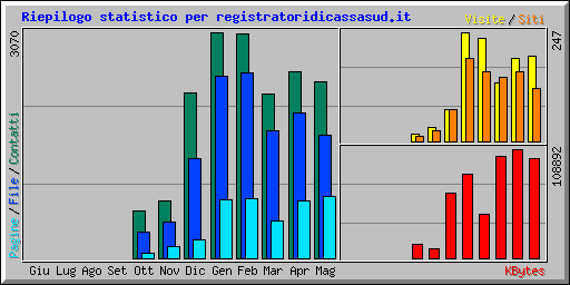 Riepilogo statistico per registratoridicassasud.it